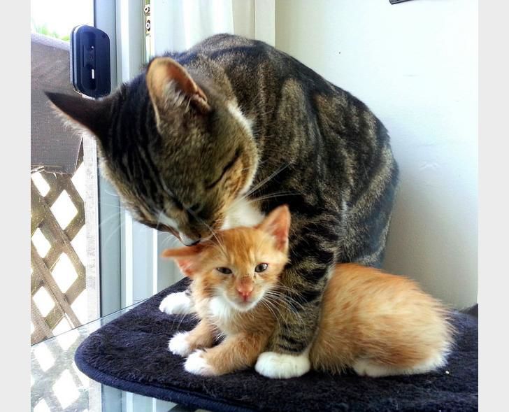 They need time with their mom